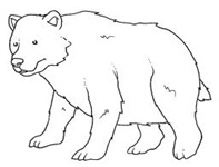 baloo