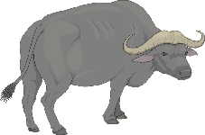 rama